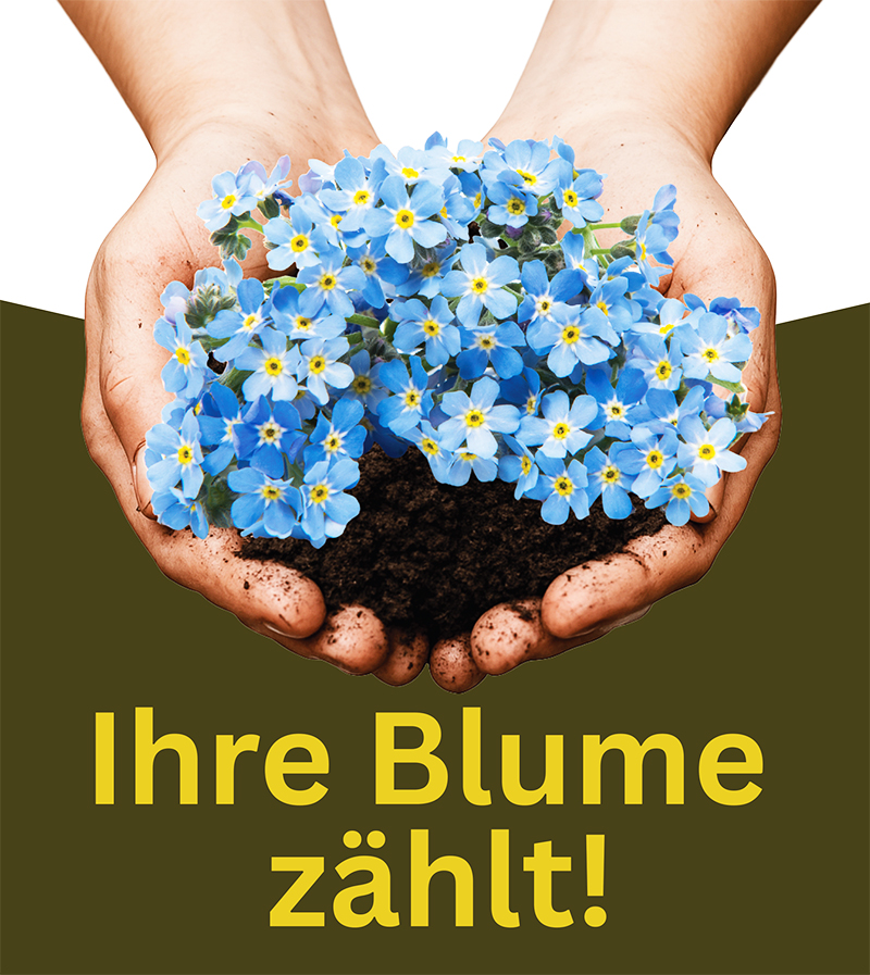 Pflanzaktion